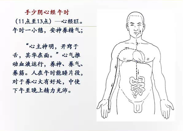 青靈穴 少海穴靈道穴 通裡穴 陰郄穴 神門穴 少府穴 少衝穴足太陰脾經