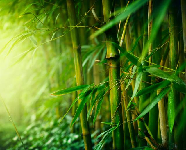 做人做事，败于十忌，成于十悟！