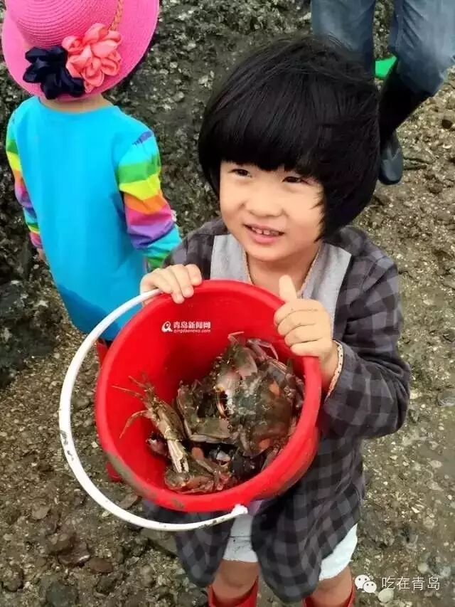 红岛螃蟹轻松一抓十来斤,青岛爸妈带孩子集体失踪.
