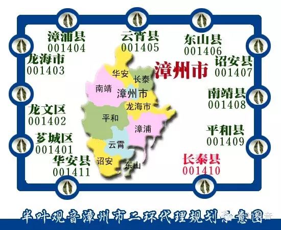 授予蘇城管:半葉鐵觀音漳州市漳浦縣二級代理(編號:001404)【6】