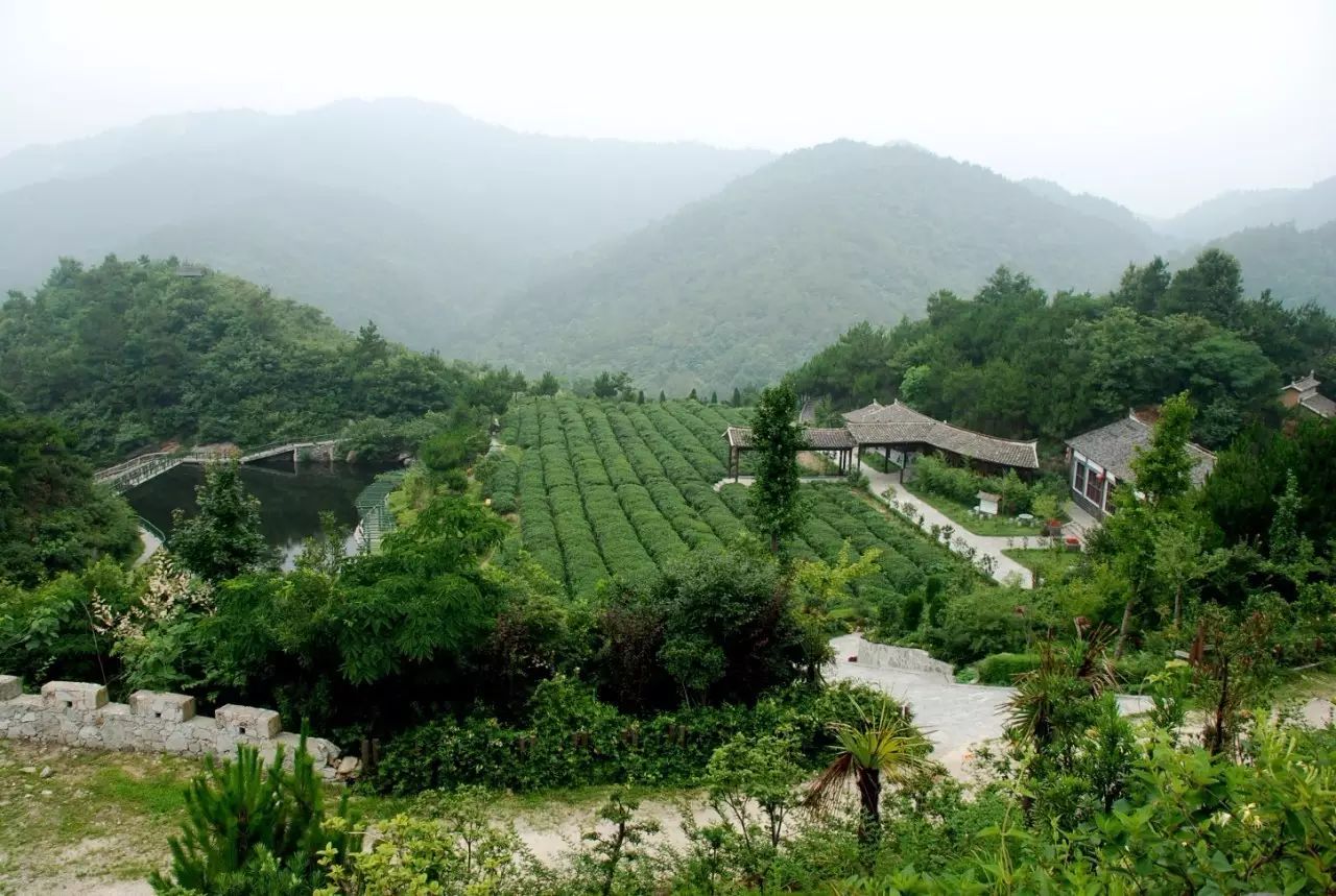 武漢黃陂劉家山村美味:天池叼子魚,辣椒粑景點:木蘭天池,木蘭山,木蘭