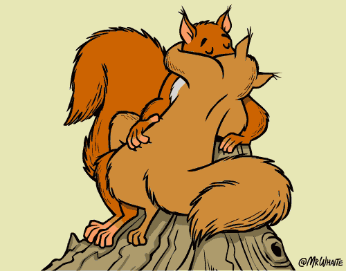 16,"伦巴舞"的意思是一群响尾蛇17,把鲨鱼翻过来,它就会产生幻觉18