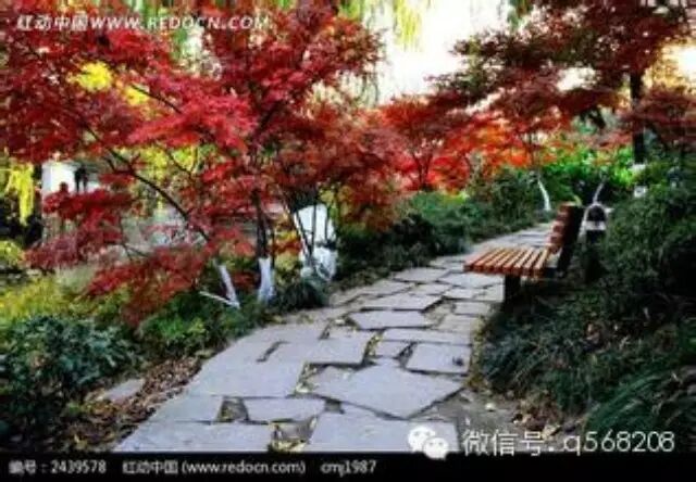 史上最美的园林小路铺设