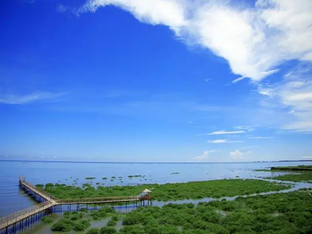 東興市竹山村榕樹頭自然村,三面環海,是大清國一號界碑景區中美麗的