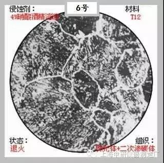 66张典型金相图片的图6