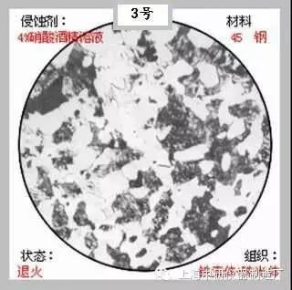 66张典型金相图片的图3