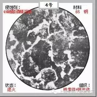 66张典型金相图片的图4