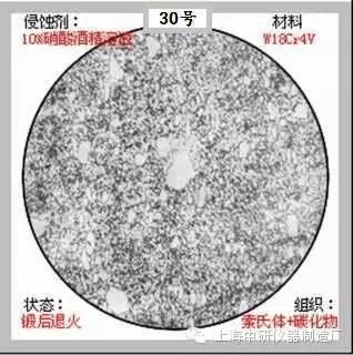 66张典型金相图片的图30