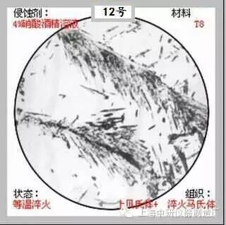 66张典型金相图片的图12