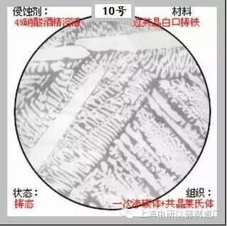 66张典型金相图片的图10