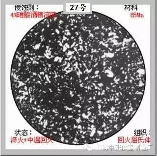 66张典型金相图片的图27