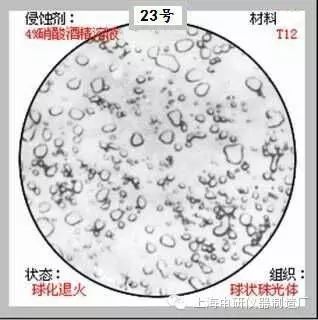 66张典型金相图片的图23