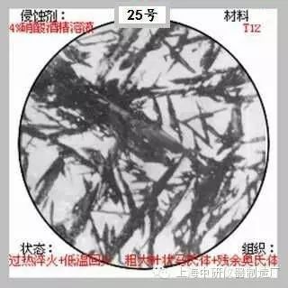 66张典型金相图片的图25