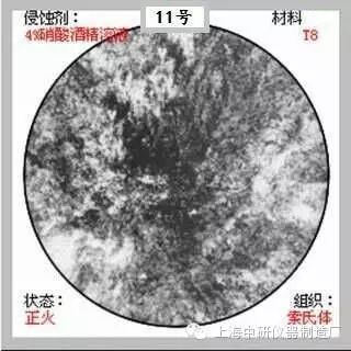 66张典型金相图片的图11