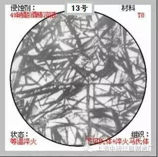 66张典型金相图片的图13