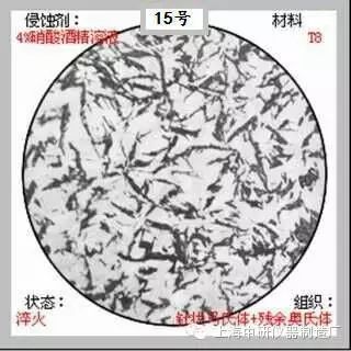 66张典型金相图片的图15