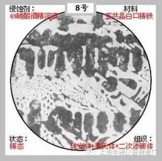 66张典型金相图片的图8