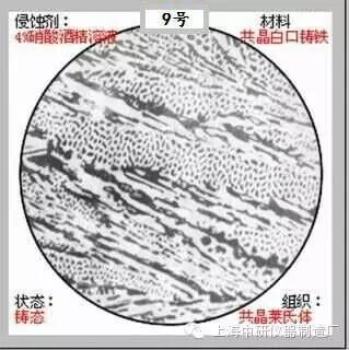 66张典型金相图片的图9