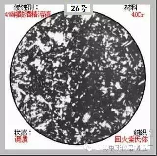 66张典型金相图片的图26