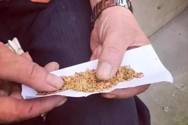 在卷起来的时候,我还学农村老大爷卷旱烟那样,用舌头舔了舔纸边,防治