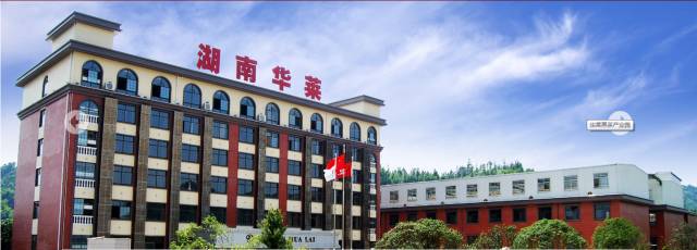 龙明华:华莱黑茶追赶英国立顿,从中国驰名到世界驰名