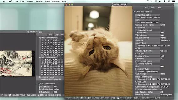 在Mac OS X上 UI设计师必备的12款应用