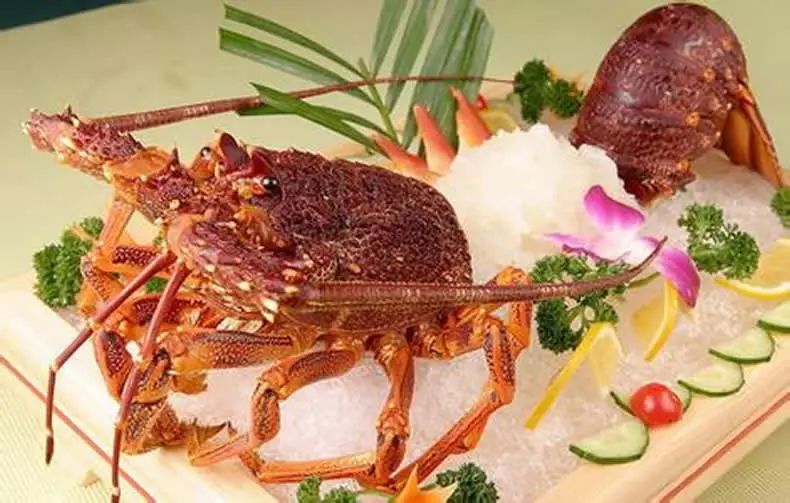 游客带6斤重鲜活澳洲大龙虾回中国,被海关截获没收还要罚款!