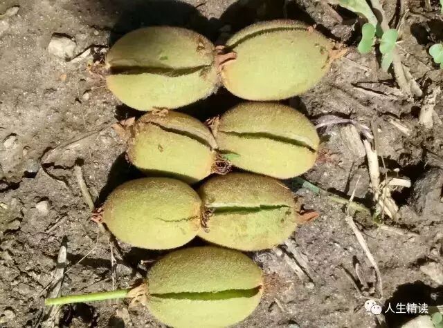 640?wx_fmt=other&tp=webp&wxfrom=5&wx_lazy=1