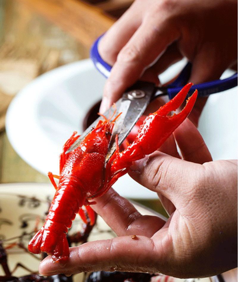 妞儿家第一波特色小龙虾奉上,买一赠一,哥们儿全城开扒你准备好了吗?