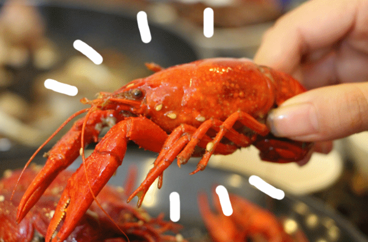 快瞧莆田人民吃小龙虾的经典架势!