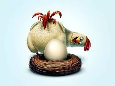 村情 荻江村养了一只下蛋鸡啊,而且是下金蛋的鸡【山东建筑材料网络社