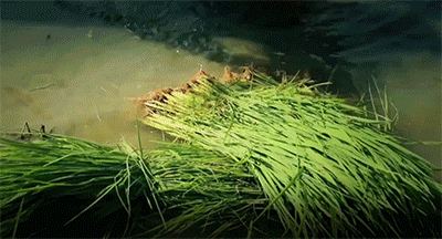 400_216gif 动态图 动图