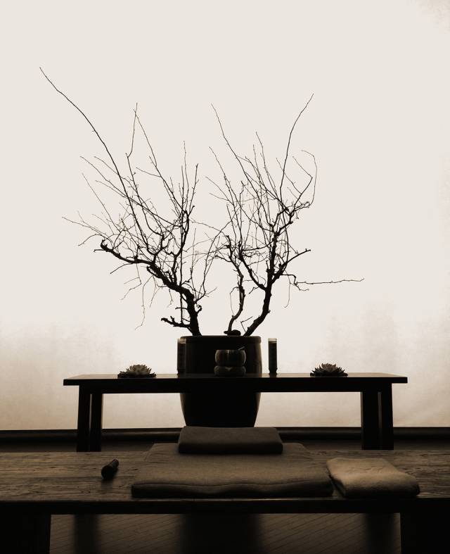 明式端坐木椅，久坐一禅