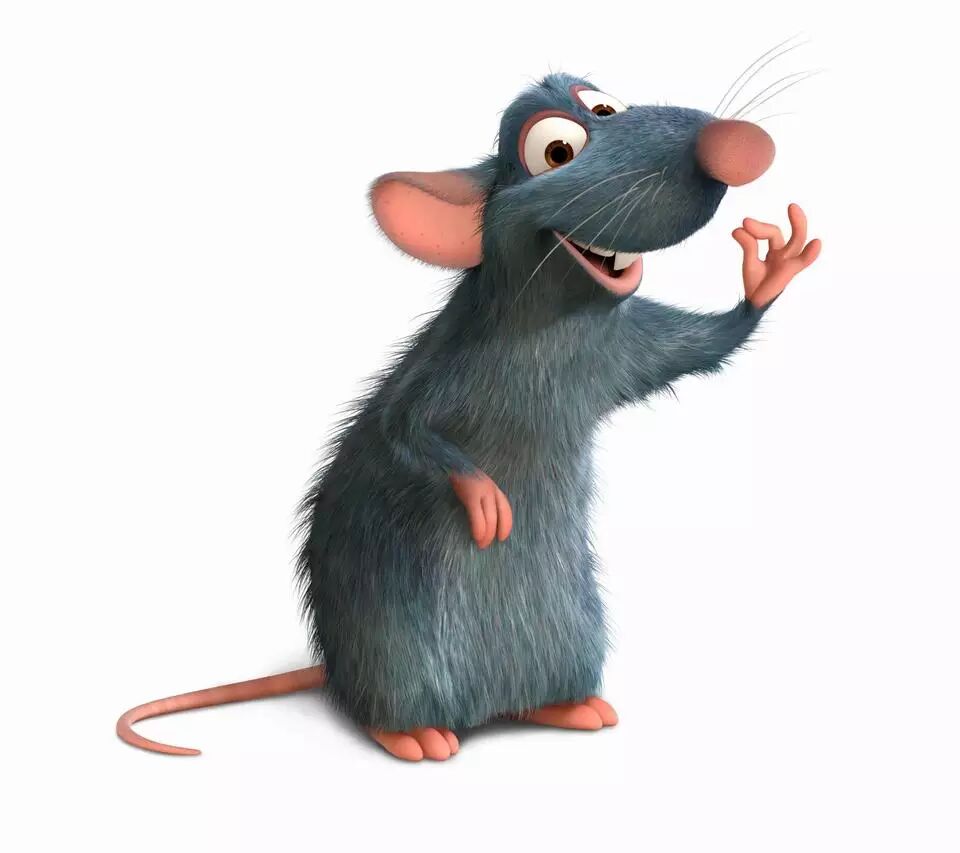 暴露年龄系列之明星鼠盘点别以为上了电视我就不认识你了