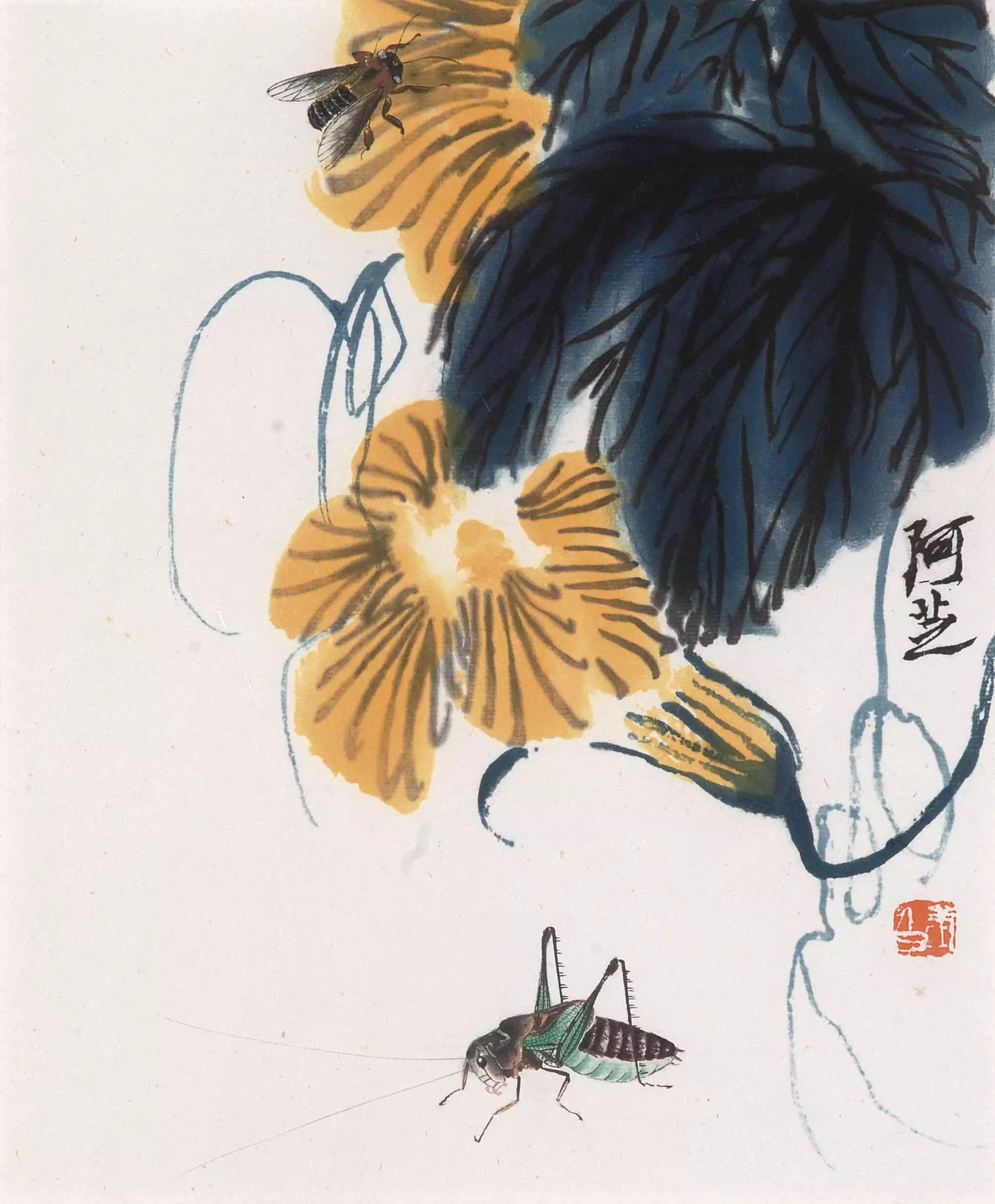 城市物种日历8月9日优雅蝈螽zhōng