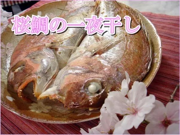 日本虽然自古就广泛食用真鲷,但鲷鱼确立鱼中之王的地位还是武家社会