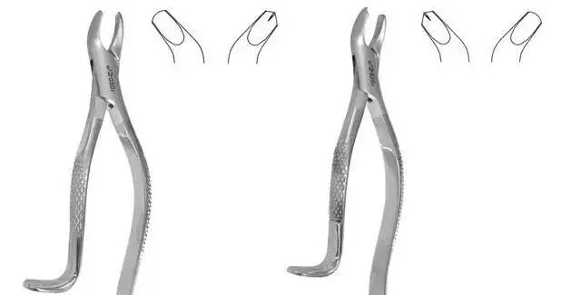 怎么区分拔牙钳1分钟讲解口腔拔牙钳，从区分到用法要点都讲全了，赶紧收藏！_https://www.jmylbn.com_新闻资讯_第4张