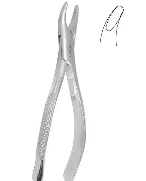 怎么区分拔牙钳1分钟讲解口腔拔牙钳，从区分到用法要点都讲全了，赶紧收藏！_https://www.jmylbn.com_新闻资讯_第3张