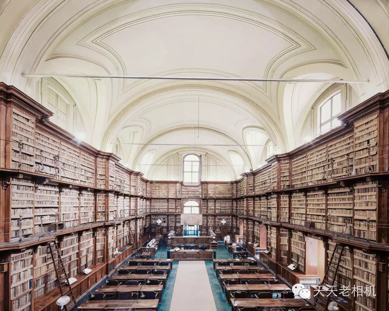 这么美还让不让人安心读书了