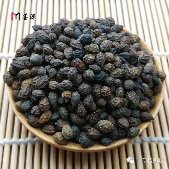中药材：鸦胆子