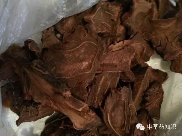 中药材：狗脊
