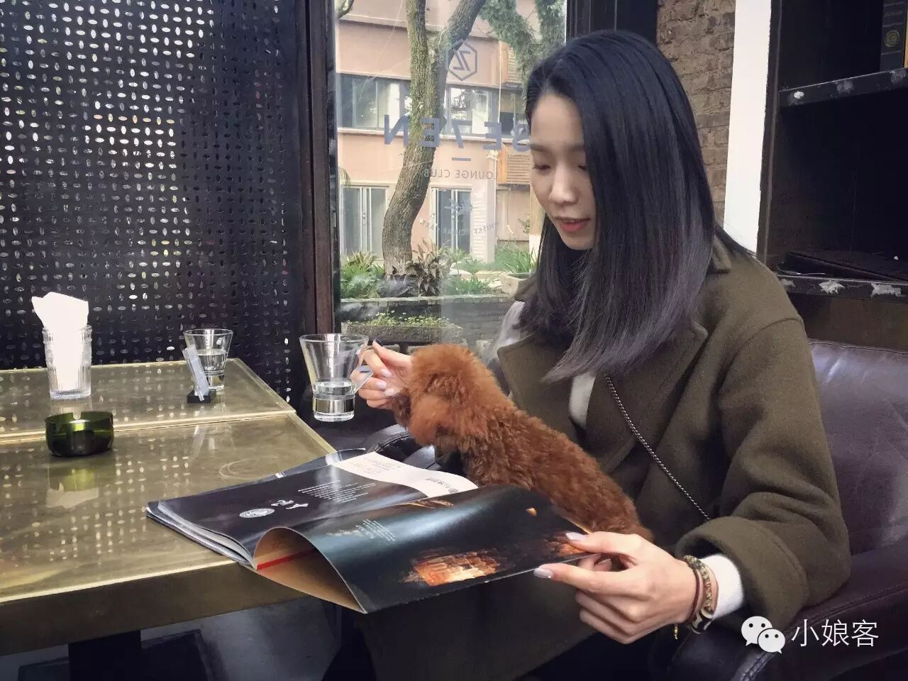 在玻璃房晒着暖阳喝咖啡,你绝对想不到它竟然还能