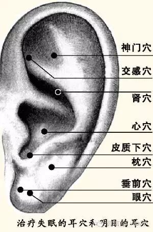 它居然能治失眠,牙龈肿痛