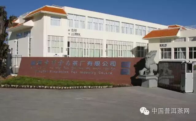 标准茶厂是啥样跟七彩哥去看看