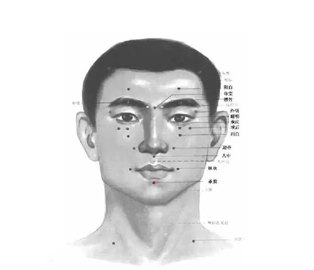 【每日一穴】承浆穴：生津敛液 舒筋活络