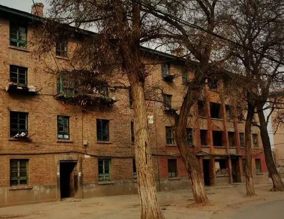 它们曾想尽了办法可人们还是不愿生孩子大象公会