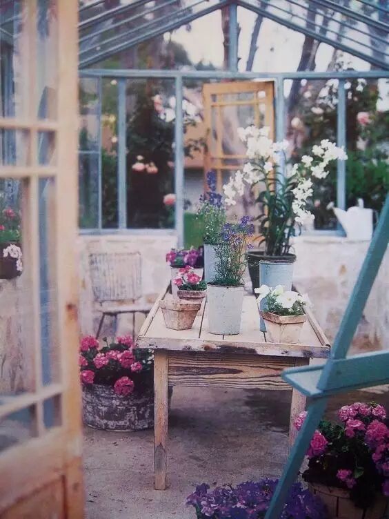 庭院设计丨想 要一个玻璃花房 怡小然播报 怡然园艺