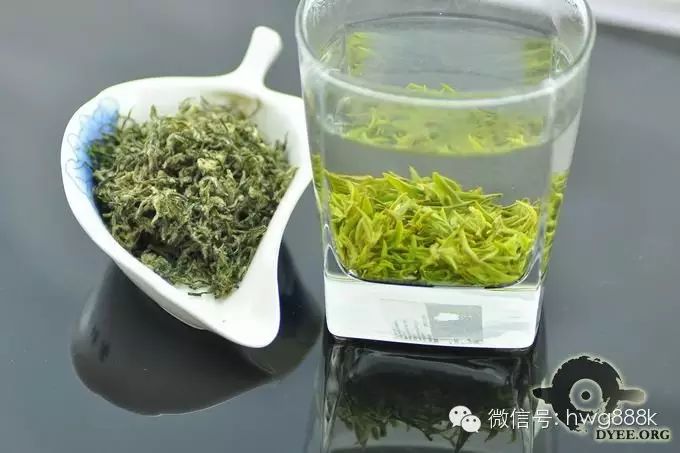 後人每逢春時採自碧螺茶樹上的芽葉