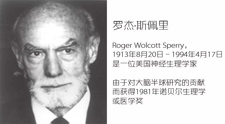 世界右脑开发第一人