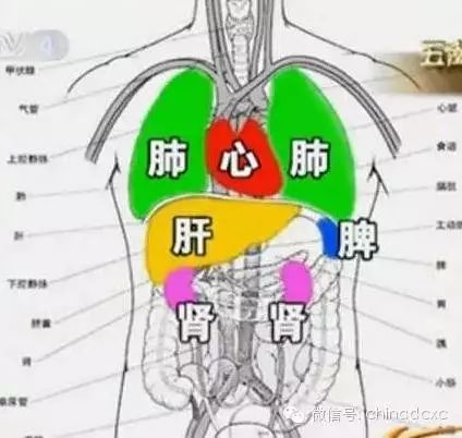 心肝脾肺肾哪里不对补哪里问题是你补对了吗